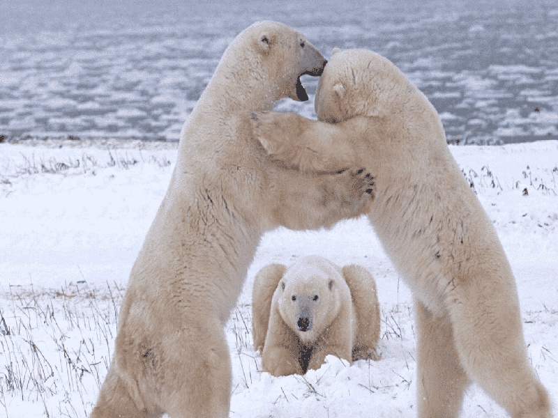 鼓楼医院试管分组，试管夹取机构